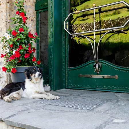 Almliesl Gold-706 Alloggio in famiglia Goldegg